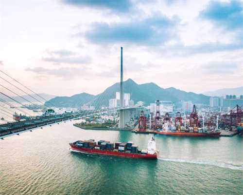 科学家建立血管化类脑器官培养新体系