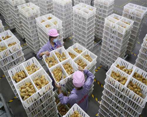 基因技术将帮助人类抵御疾病、延年益寿